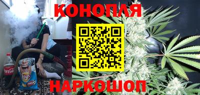 стаф Кунгур