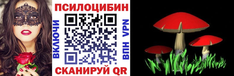 Галлюциногенные грибы мицелий  мориарти телеграм  Владивосток 
