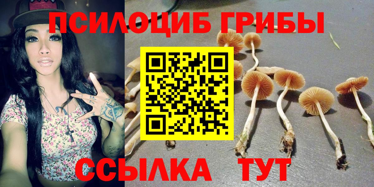 Владивосток  Псилоцибиновые грибы мицелий  Вход с VPN  Галлюциногенные грибы Magic Shrooms 